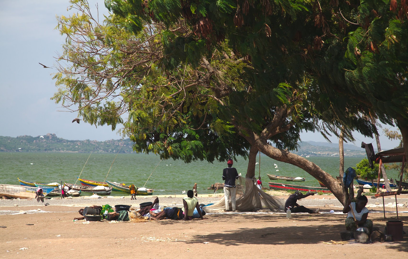 In a fishing village