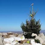 Crnopac i Kita Gacesina - Bozicni Velebit 2015.