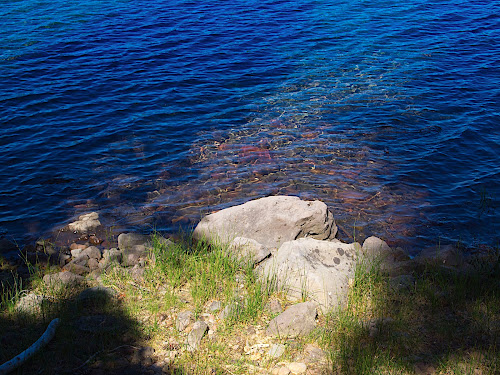 Detail along the shoreline, Juniper Lake, Lassen Volcano NP