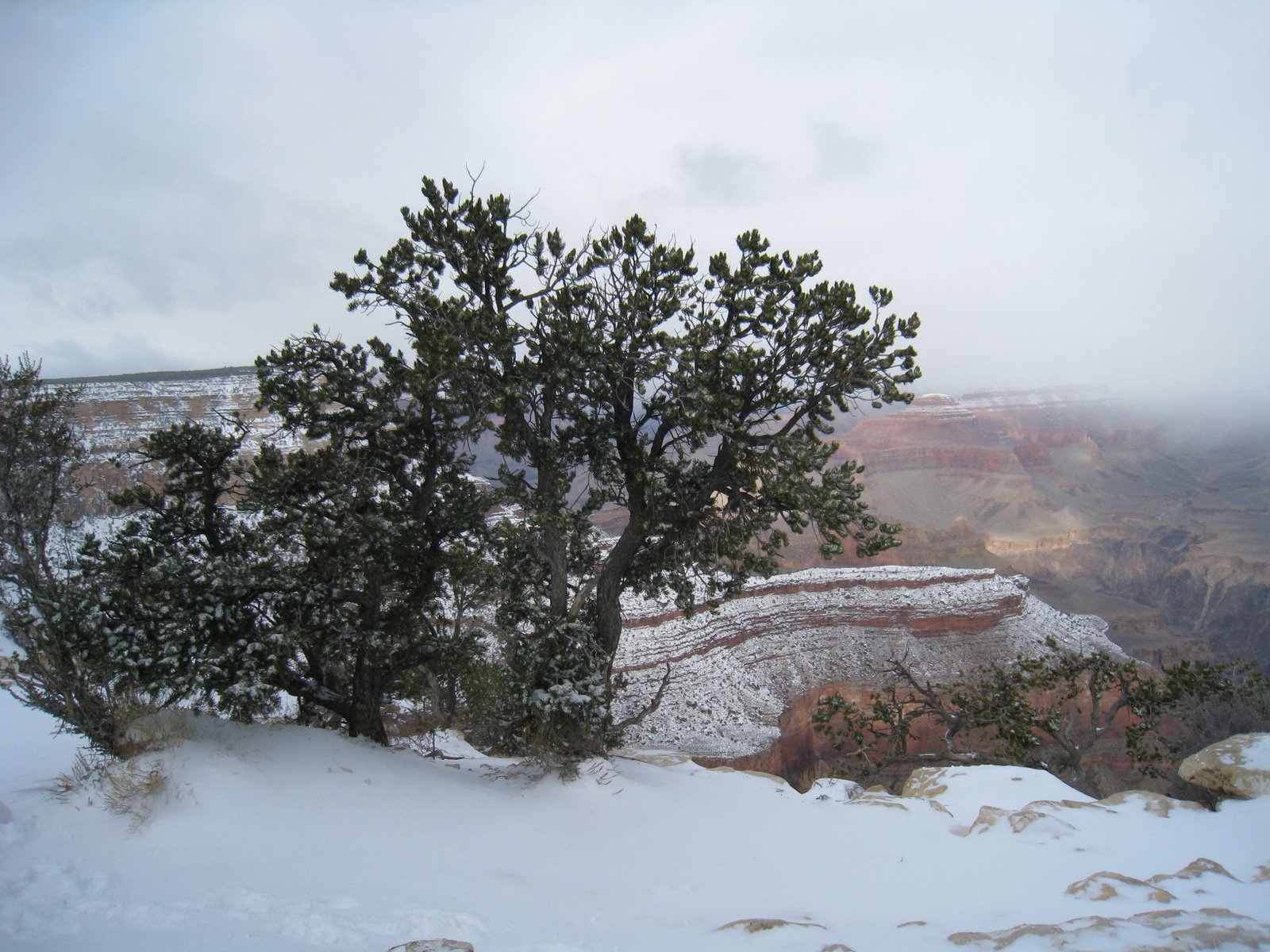 View from the Yavapai Point
