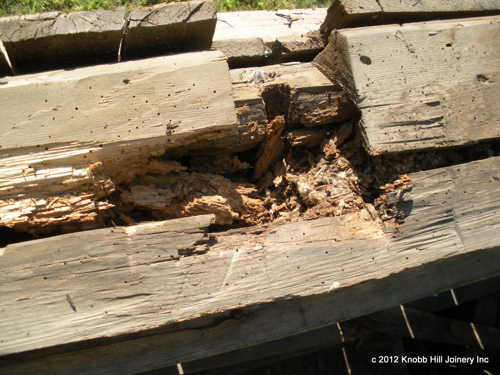 Three out of the four plate timbers were fractured and hollow.