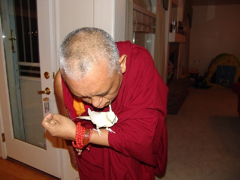 Lama Zopa Rinpoche blessing bird