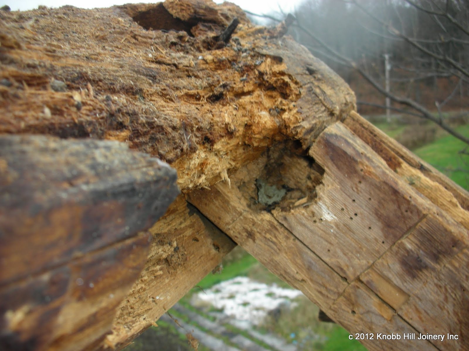 A combination of rodent damage and rot caused some of the worst damage to a ridge that we have ever seen.