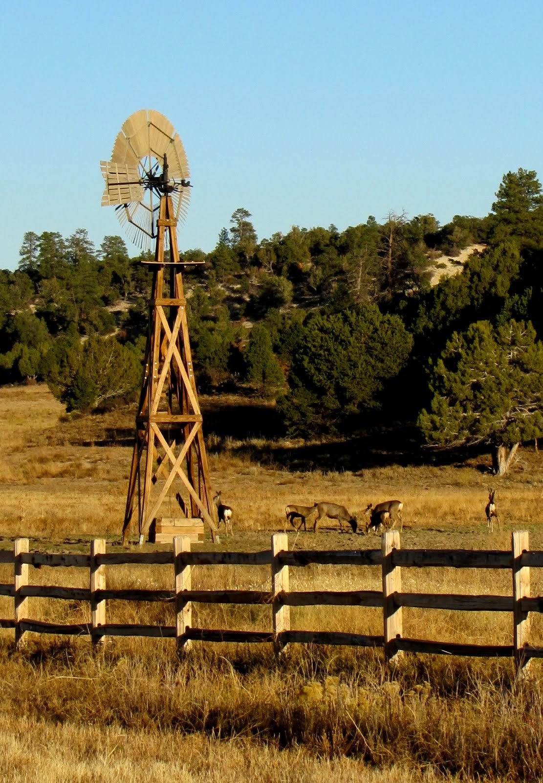 Windmill with deers