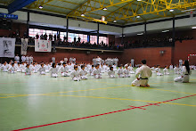 2014 12 13 Exhibición Karate 280