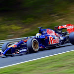 Jean-Eric Vergne (FRA/ Scuderia Toro Rosso)