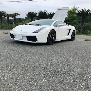 ガヤルド