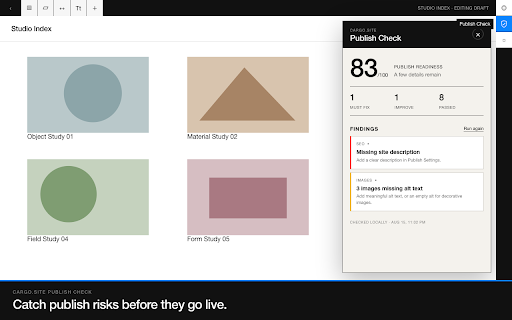 Cargo.site Publish Check screenshot 2