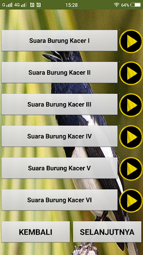 Masteran Kacer Gacor Lengkap