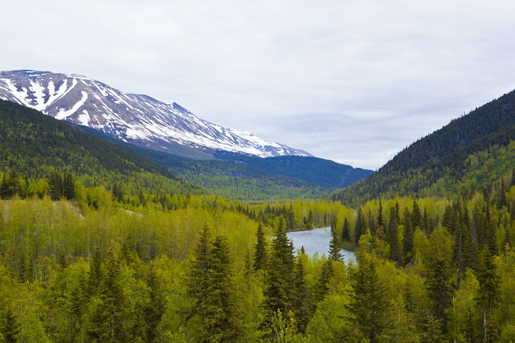 See the wild expanses of Juneau, Alaska, on your Regent Seven Seas cruise.