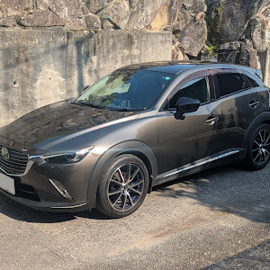 CX-3 DK5FW