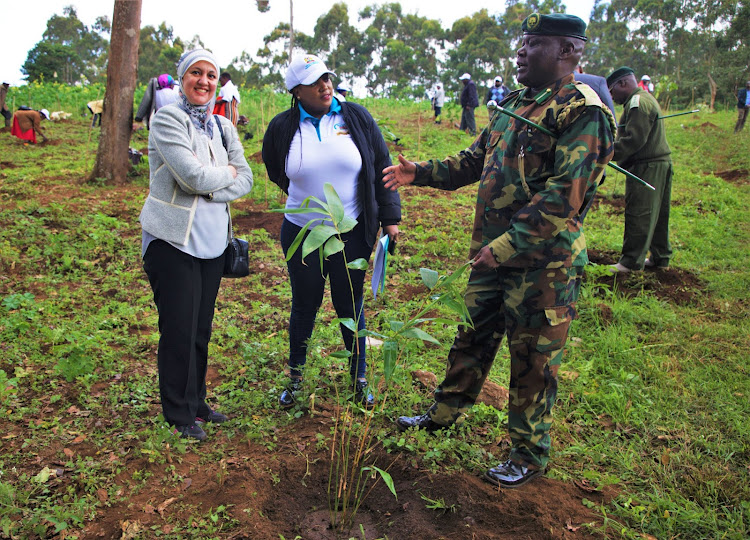 Kiambu chief conservator Thomas Kiptoo speaks to UN HABITAT deputy ambassador Natalynne Maingi (center) with another envoy looking on at Uplands forest on Friday, June 10.