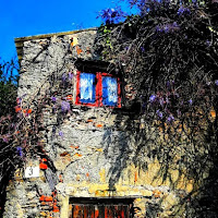 La casa con il glicine in fiore di 