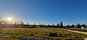 terrain à Saint-Paul-des-Landes (15)