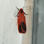 Red Footman