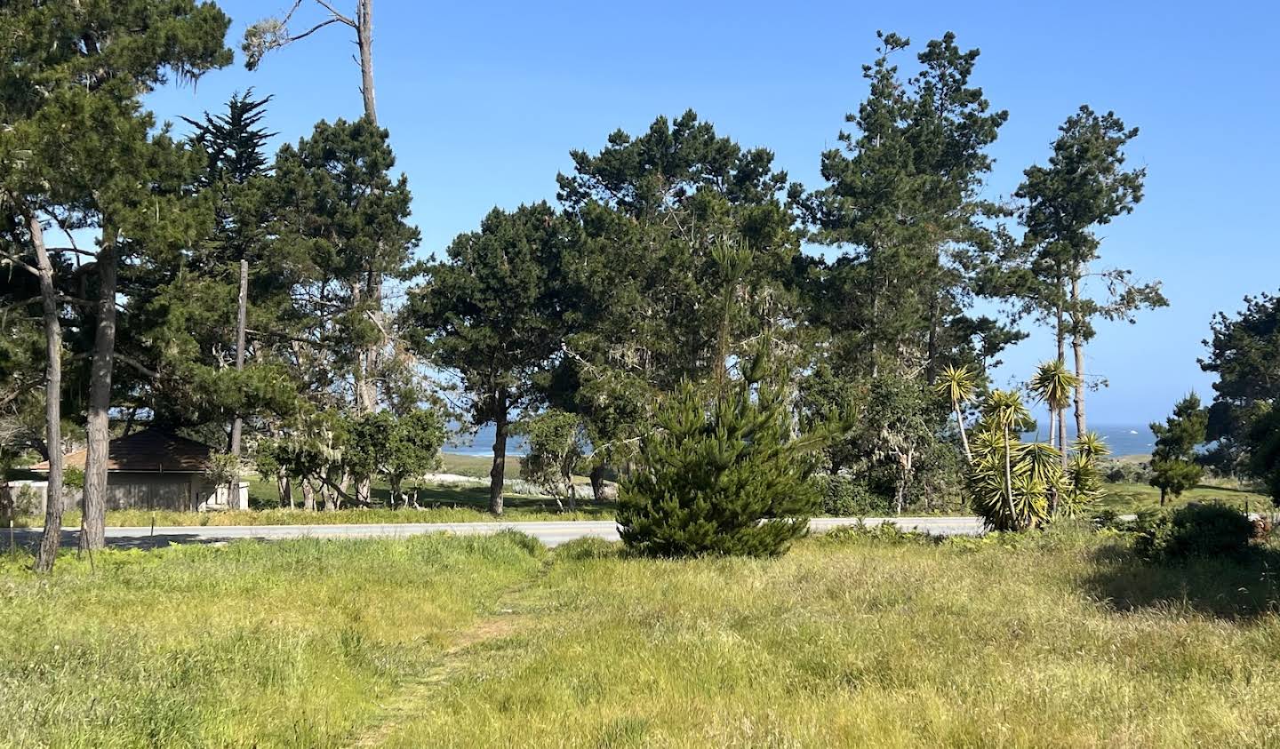 Terrain Pebble Beach