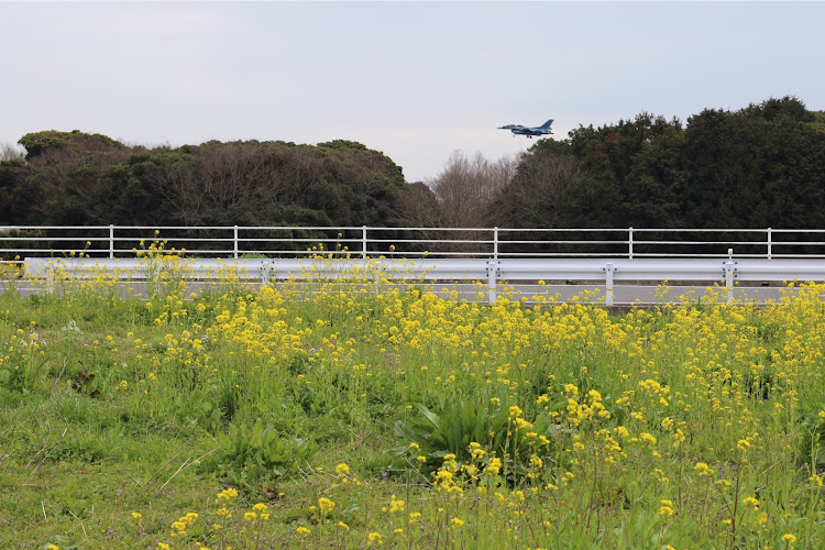 MPVの爆音浴・築城基地に関するカスタム事例の投稿画像4枚目