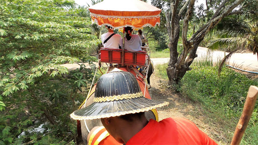 Elephant Ride Thailand 2016