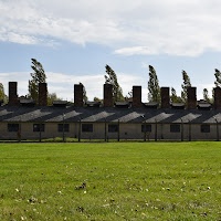 Auschwitz  di 