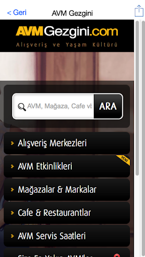 AVM Gezgini