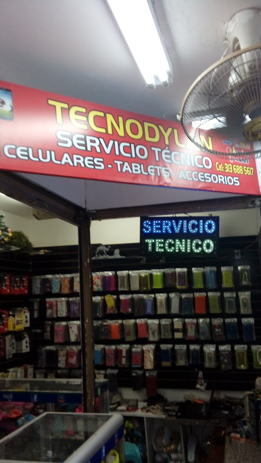 Tecnodylan