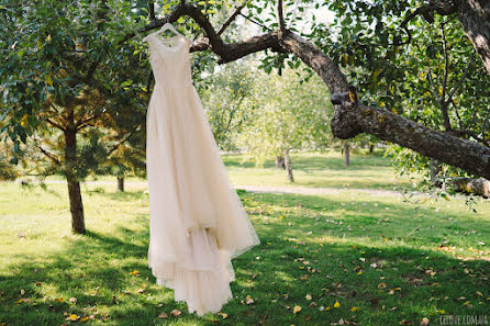 Fotógrafo de bodas Anna Gorbenko (annagorbenko). Foto del 3 de mayo 2016