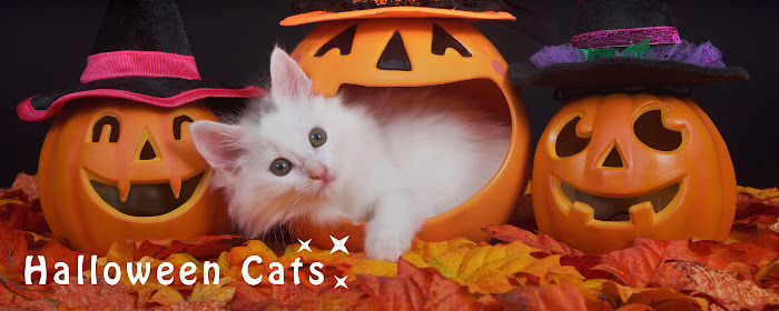 Halloween Cats HD Wallpaper New Tab Theme marquee promo image