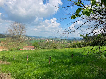 terrain à Ecoche (42)