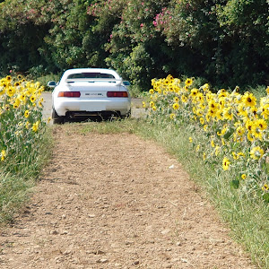 MR2 SW20