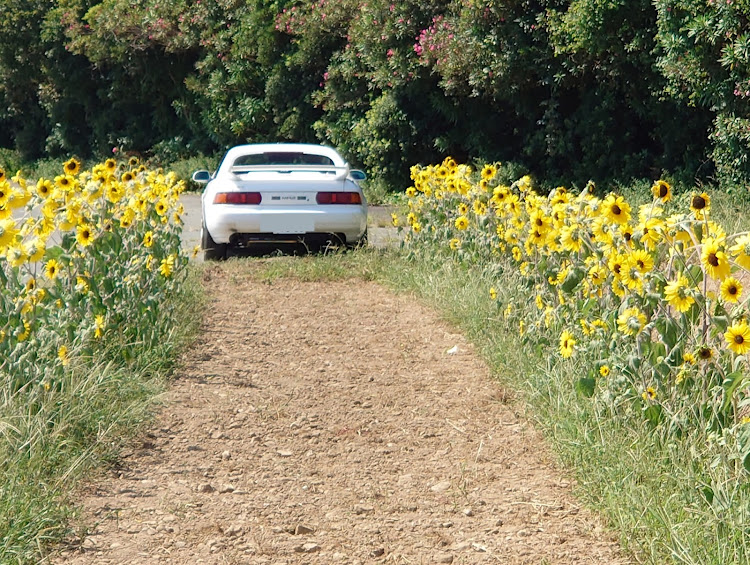 MR2の寄り道撮影📸😄・快気祝い・エコカーに関するカスタム事例の投稿画像1枚目