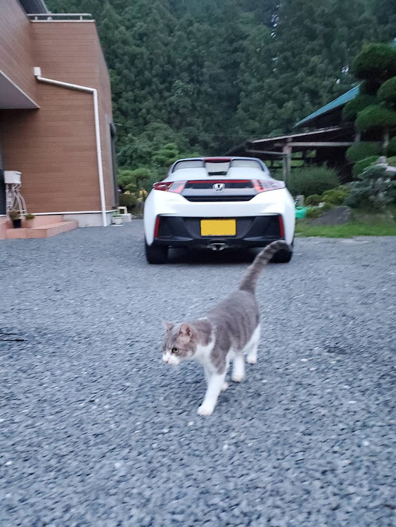 S660のツバクローさんが投稿したカスタム事例の投稿画像2枚目