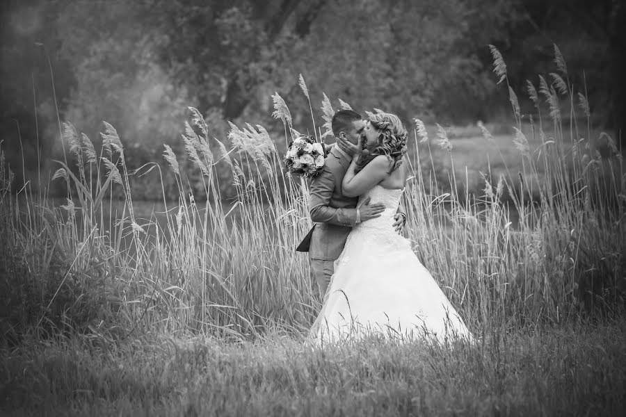 Fotografo di matrimoni Hana Ilčíková (photohanny). Foto del 21 aprile 2020