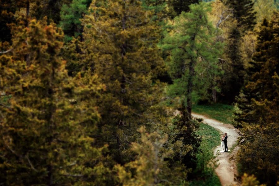 Fotograful de nuntă Evgeniy Lezhnin (lezhninevgeniy). Fotografia din 26 mai 2016