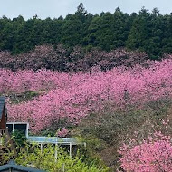 山上人家森林農場