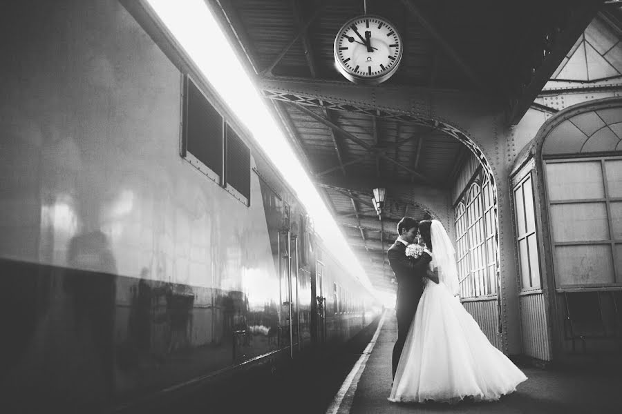 結婚式の写真家Dmitriy Lebedev (lebedev)。2014 11月9日の写真