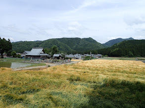 登山口付近のようす