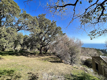 terrain à Bastia (2B)