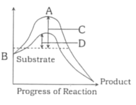 Classification and factors affecting enzymes