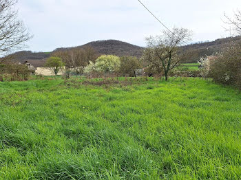 terrain à Saint-Sernin-du-Bois (71)