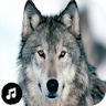 Wolf Sounds Ringtones icon