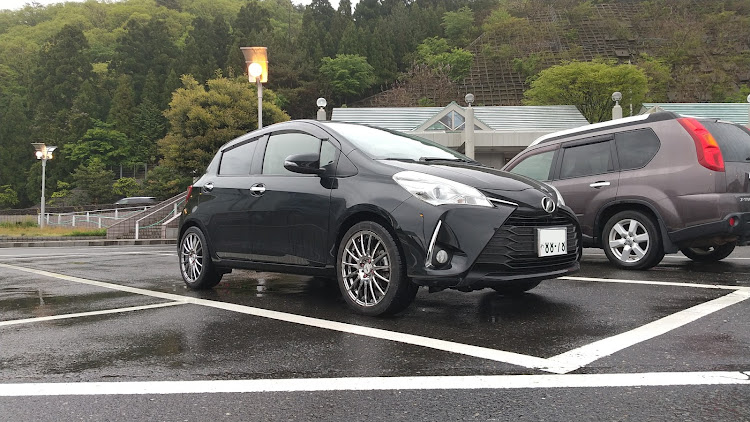 ヴィッツのOPS・福井県・メタセコイヤ並木・ゴールデンウィーク・ドライブに関するカスタム事例の投稿画像1枚目