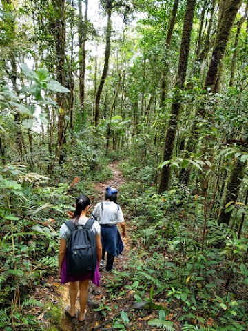 Kinabalu National Park