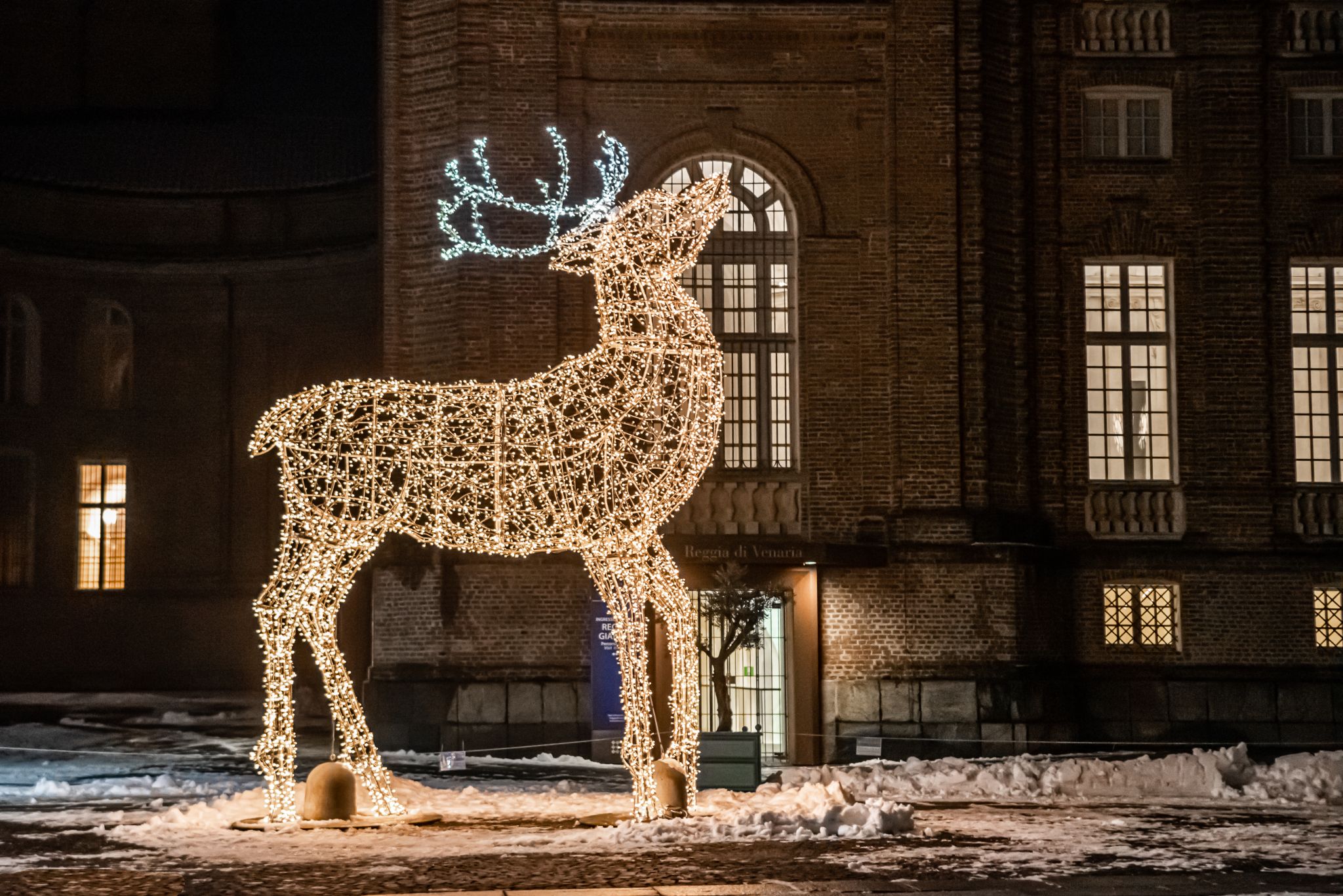 Cervo di led di Sergio Giunipero