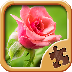 Flower Puzzles Games.apk 1.0