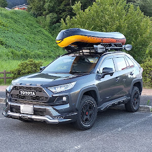 RAV4 MXAA54