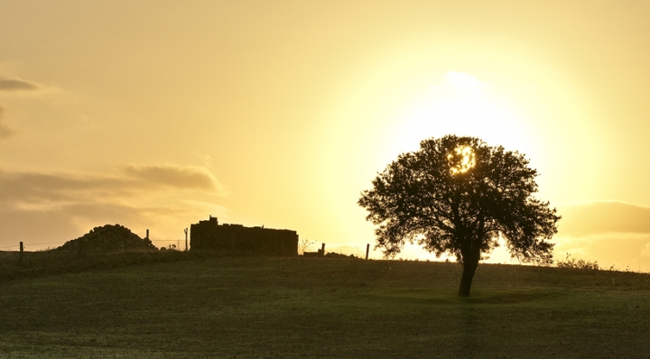 Campagna di gipipa