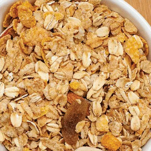 Granola Mix (100 Gms)