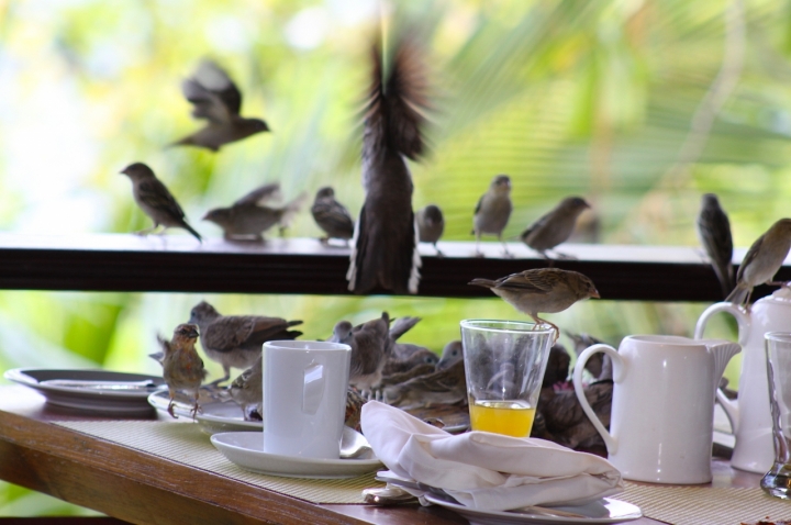 In un attimo tutti a colazione di gyuly