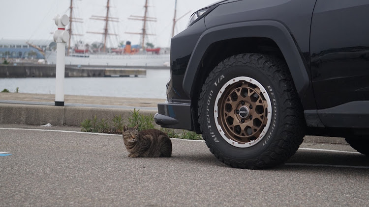 C-HRのC-HR・rav4adventure・コラボありがとうございました・走行動画・海王丸パークに関するカスタム事例の投稿画像7枚目