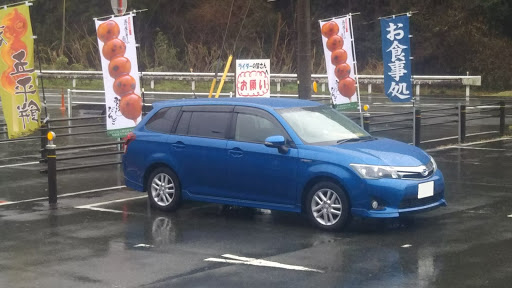 カローラフィールダー Nke165gの愛車紹介 車中泊 道の駅 温泉に関するカスタム メンテナンスの投稿画像 車のカスタム情報はcartune